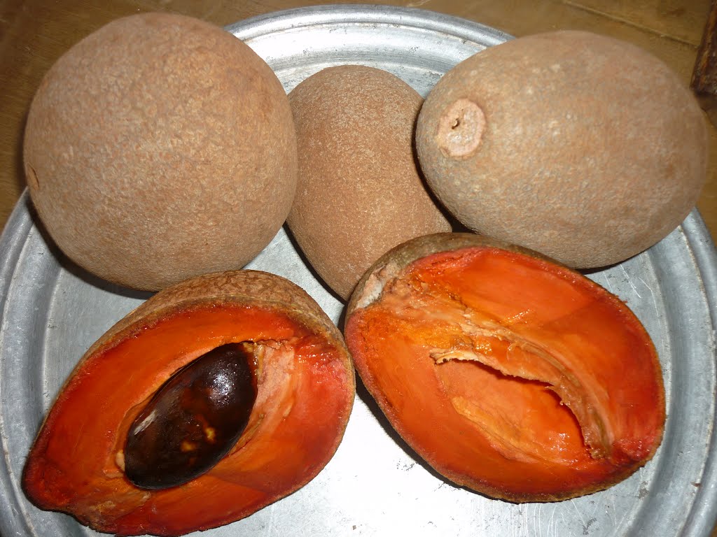 9 razones para conocer Cuba - CiberCuba